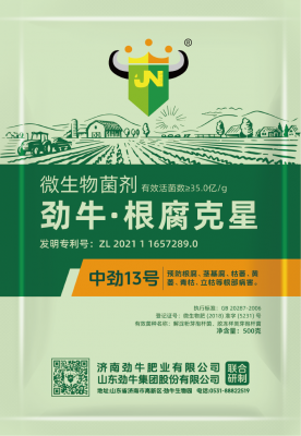 中勁13號(hào)根腐克星