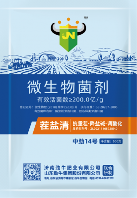 中勁14號(hào)·茬鹽清